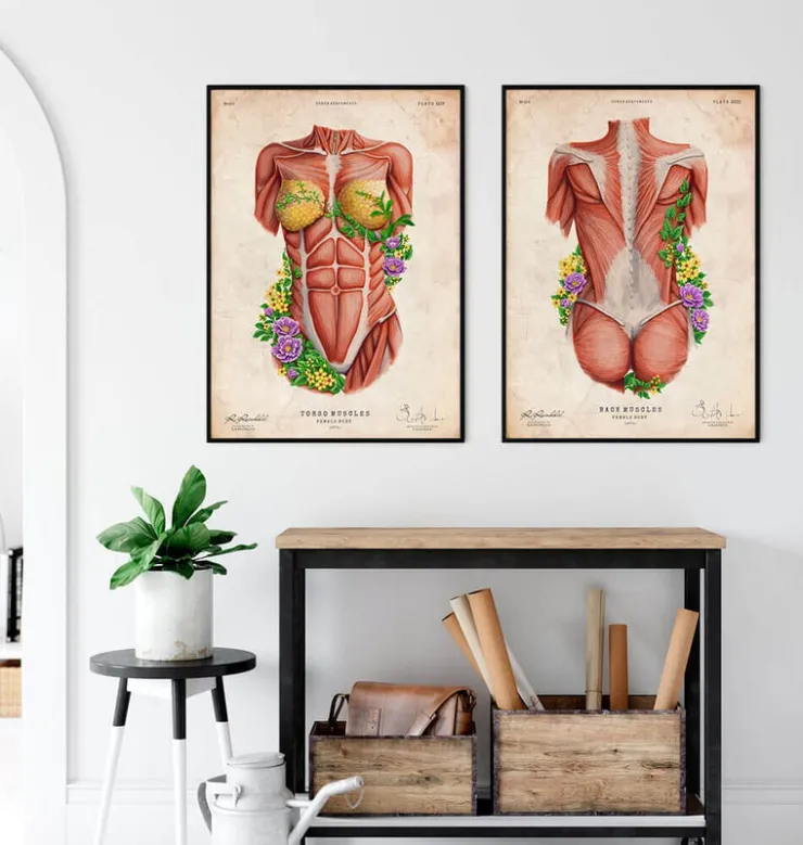Muscles du dos féminin - Floral - Vintage-Codex Anatomicus Sale