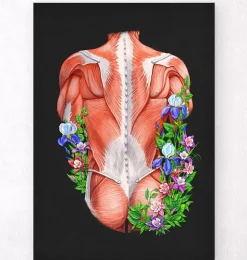 Muscles du dos masculins - Floral - Noir-Codex Anatomicus Clearance