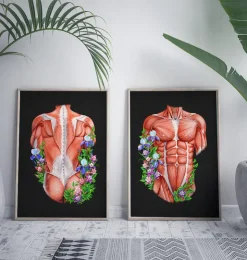 Muscles du dos masculins - Floral - Noir-Codex Anatomicus Clearance