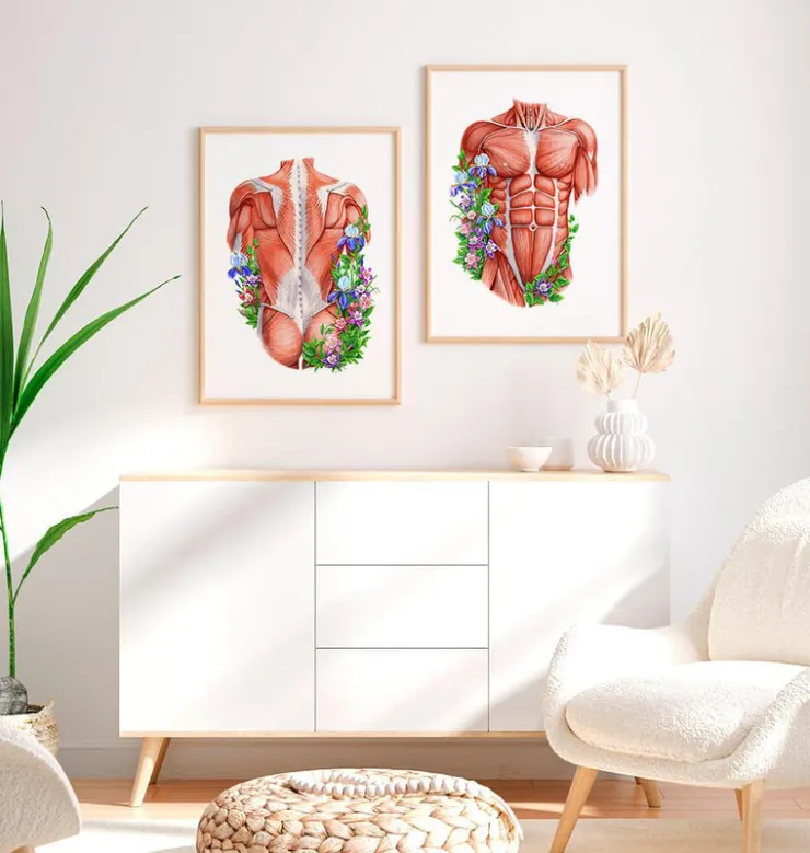 Muscles du dos masculins - Floral - Blanc-Codex Anatomicus Sale