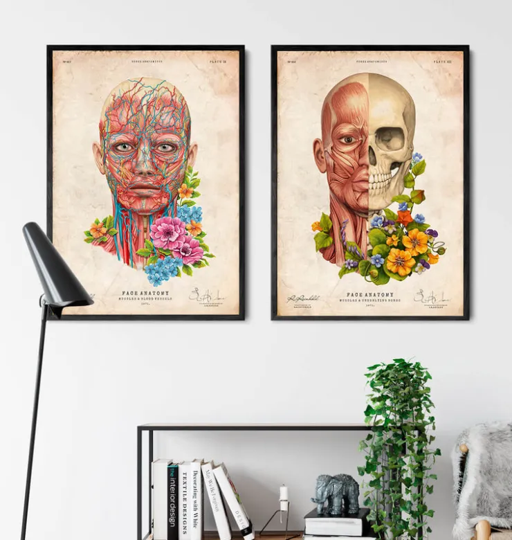 Muscles du visage - Floral - Vieux Papier-Codex Anatomicus Hot