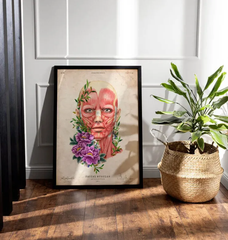 Muscles du visage II - Floral - Vintage-Codex Anatomicus New