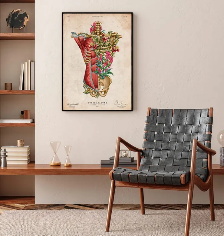 Muscles et os du torse - Floral - Vintage-Codex Anatomicus Clearance