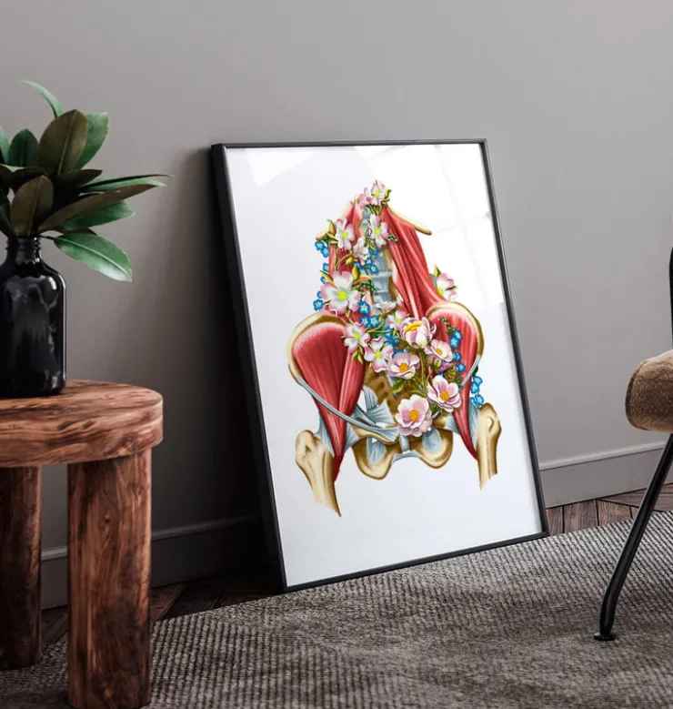 Muscles iliaque et psoas - Floral - Blanc-Codex Anatomicus Online