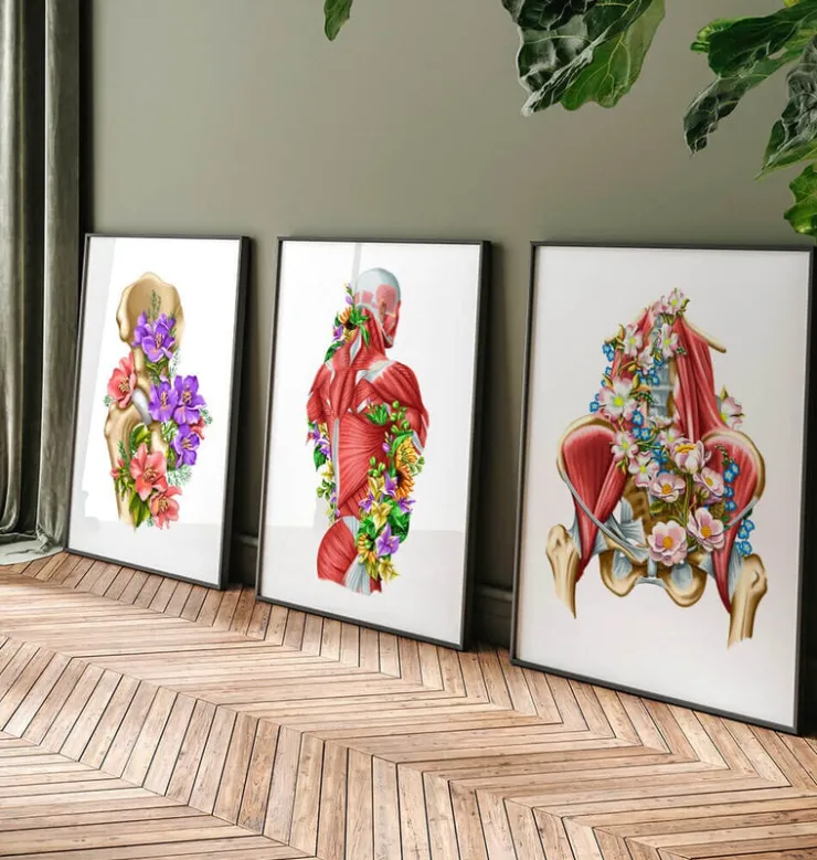 Muscles iliaque et psoas - Floral - Blanc-Codex Anatomicus Online