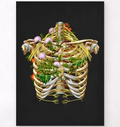 Nerf intercostal - Floral - Noir-Codex Anatomicus New