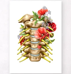 Nerfs cervicaux - Floral - Blanc-Codex Anatomicus Best