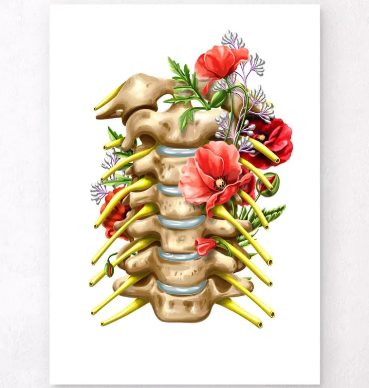 Nerfs cervicaux - Floral - Blanc-Codex Anatomicus Best