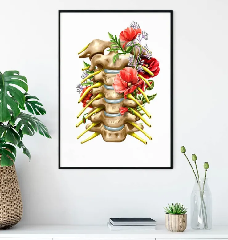 Nerfs cervicaux - Floral - Blanc-Codex Anatomicus Best