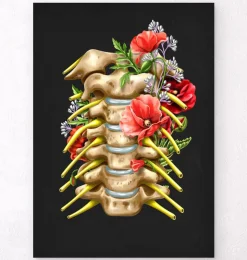 Nerfs cervicaux - Floral - Noir-Codex Anatomicus Clearance