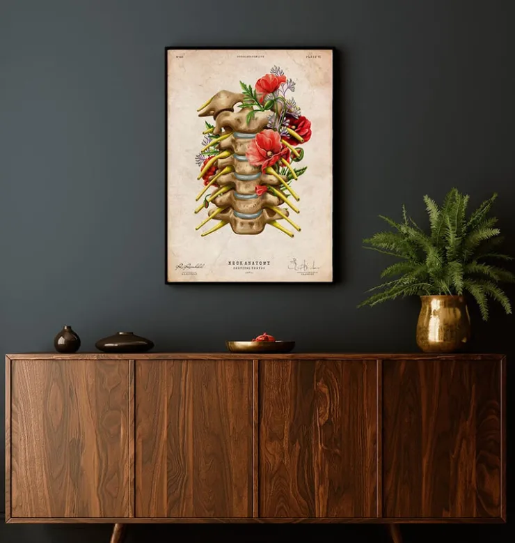 Nerfs cervicaux - Floral - Vintage-Codex Anatomicus
