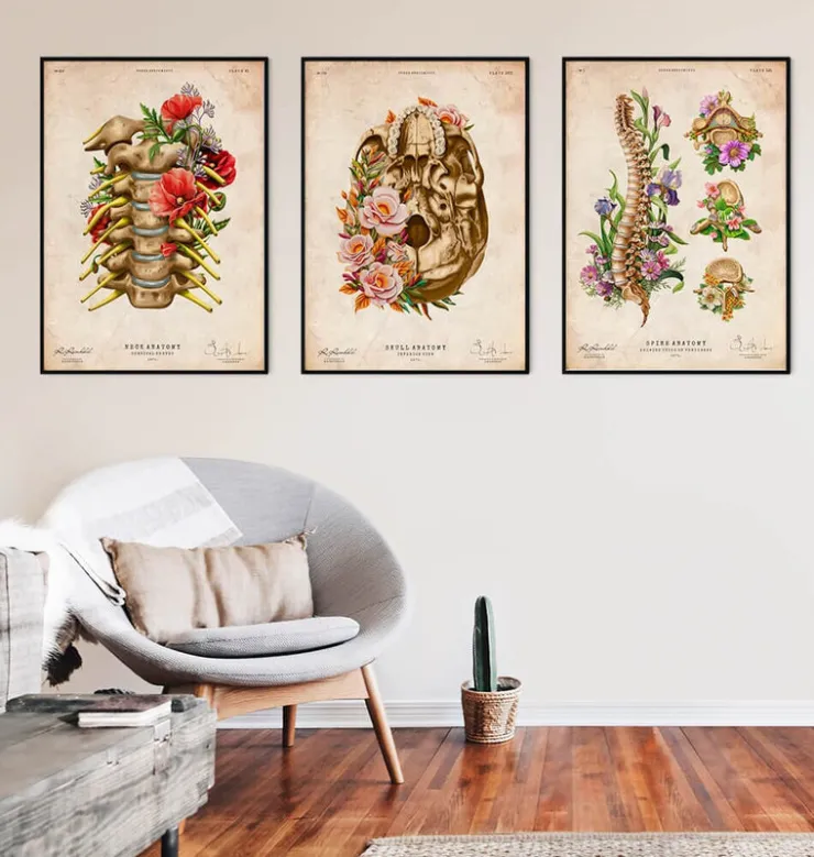 Nerfs cervicaux - Floral - Vintage-Codex Anatomicus