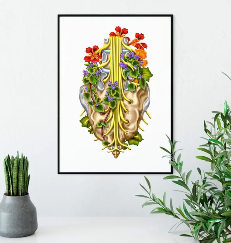 Nerfs sacrés - Floral - Blanc-Codex Anatomicus Hot