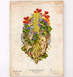Nerfs sacrés - Floral - Vintage-Codex Anatomicus Online