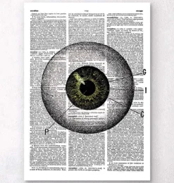 Oeil - Page Dictionnaire-Codex Anatomicus Hot