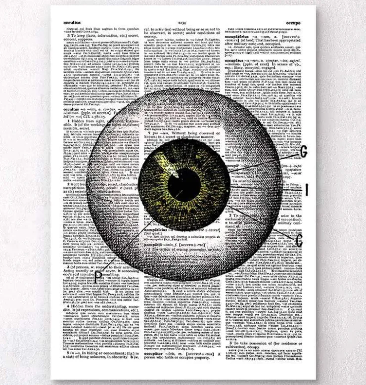 Oeil - Page Dictionnaire-Codex Anatomicus Hot