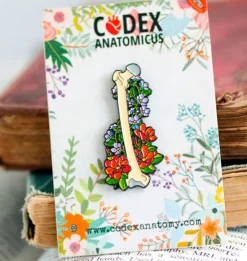 Os pelvien avec fleurs - Pins-Codex Anatomicus Outlet