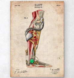 Pied mécanique-Codex Anatomicus Sale