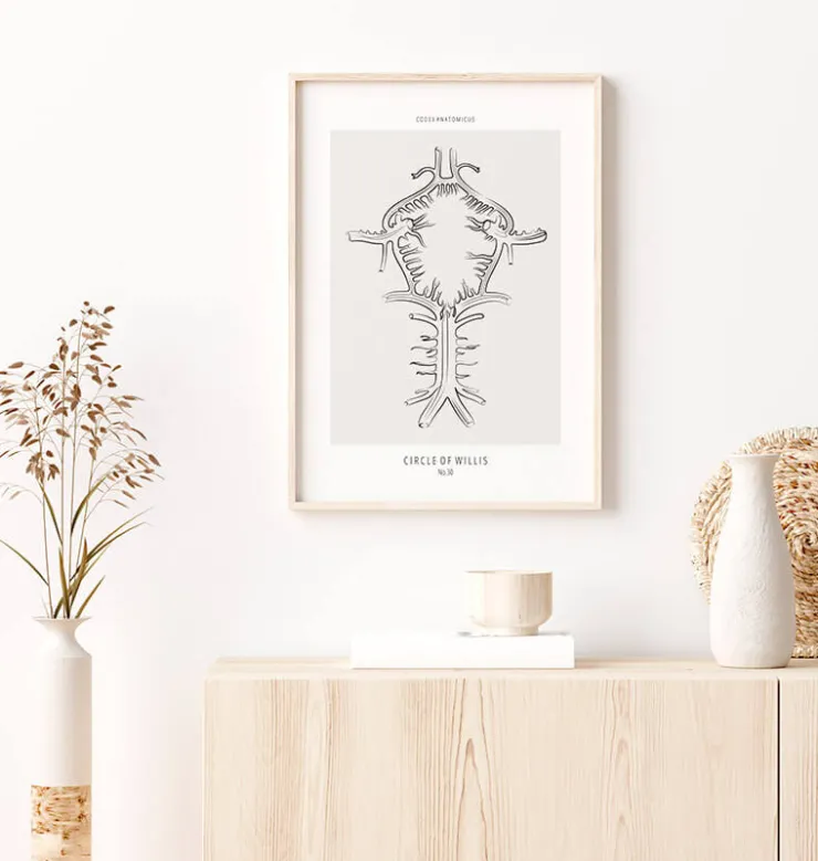 Polygone de Willis - Line Art-Codex Anatomicus Sale