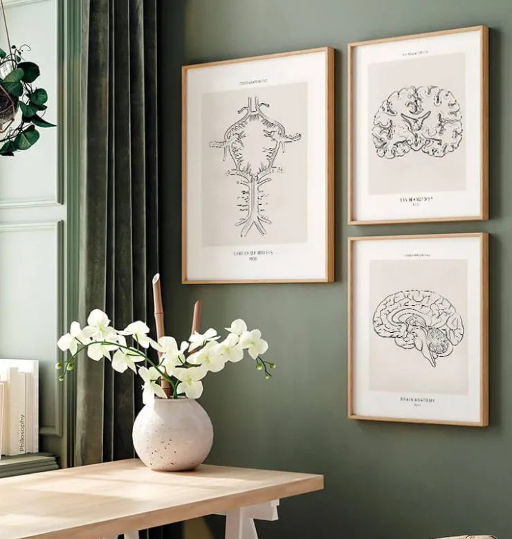 Polygone de Willis - Line Art-Codex Anatomicus Sale