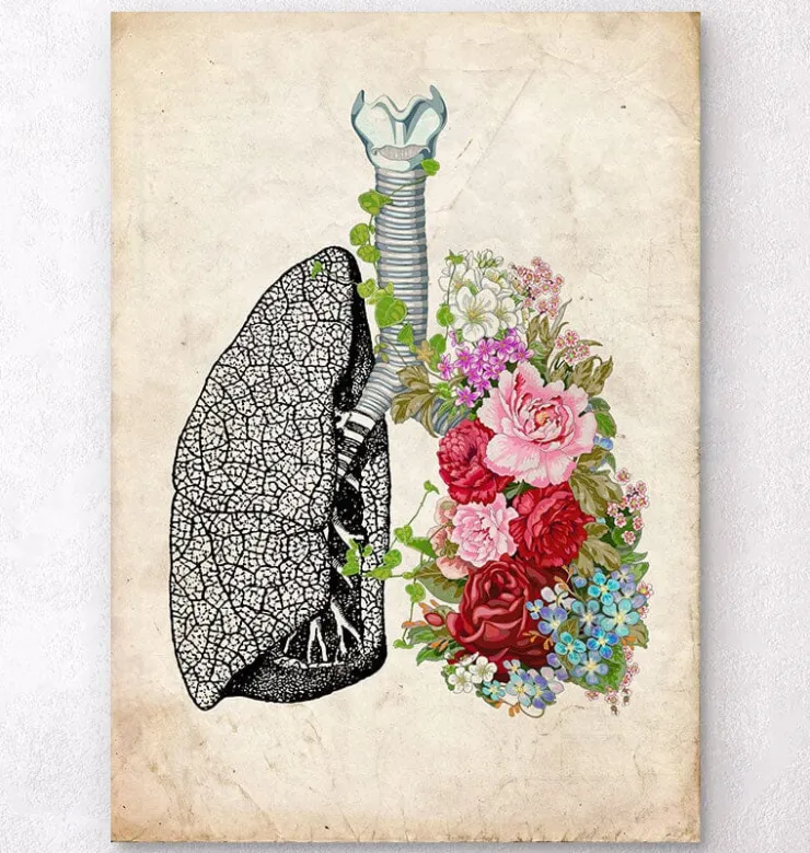Poumons à fleurs - Vieux papiers-Codex Anatomicus Best
