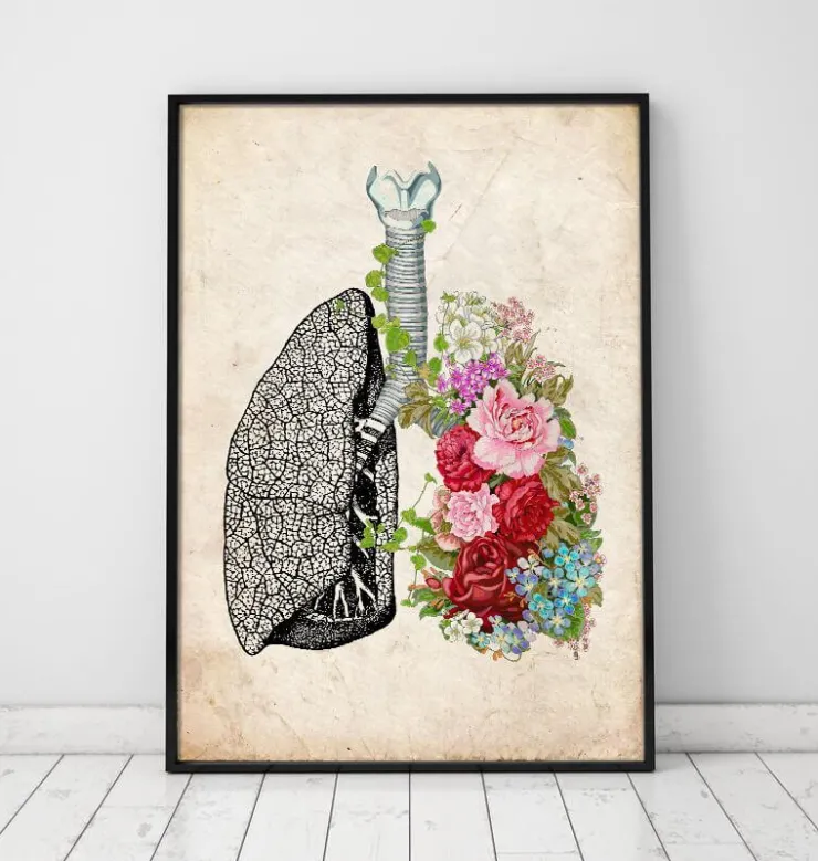 Poumons à fleurs - Vieux papiers-Codex Anatomicus Best