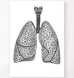 Poumons géométriques minimaux-Codex Anatomicus Discount