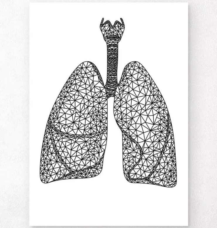 Poumons géométriques minimaux-Codex Anatomicus Discount