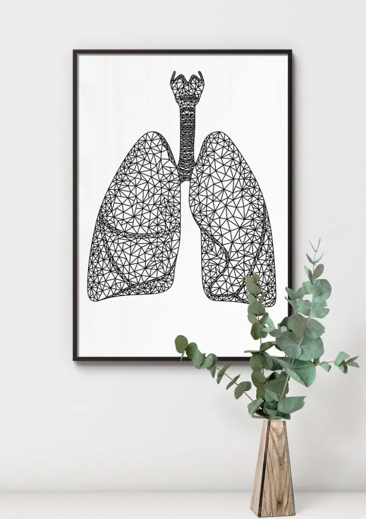 Poumons géométriques minimaux-Codex Anatomicus Discount