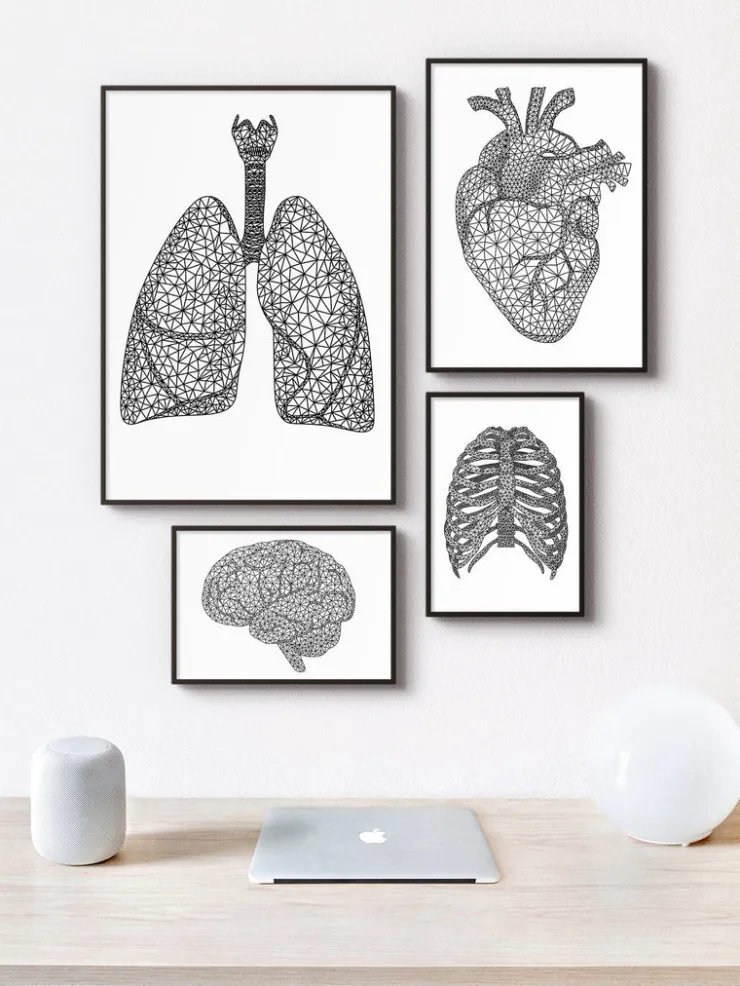 Poumons géométriques minimaux-Codex Anatomicus Discount