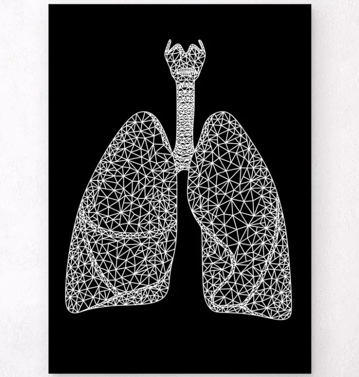 Poumons géométriques minimal - Noir-Codex Anatomicus Outlet