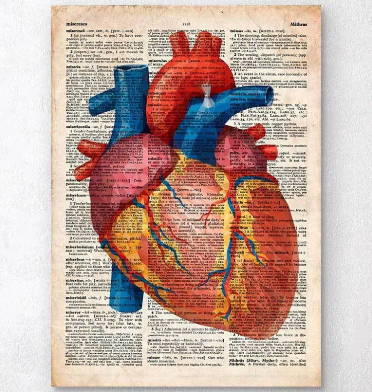 Rein géométrique III - Dictionnaire-Codex Anatomicus Clearance