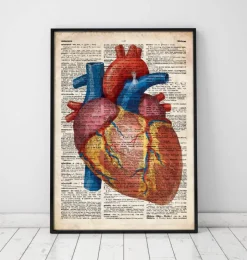 Rein géométrique III - Dictionnaire-Codex Anatomicus Clearance