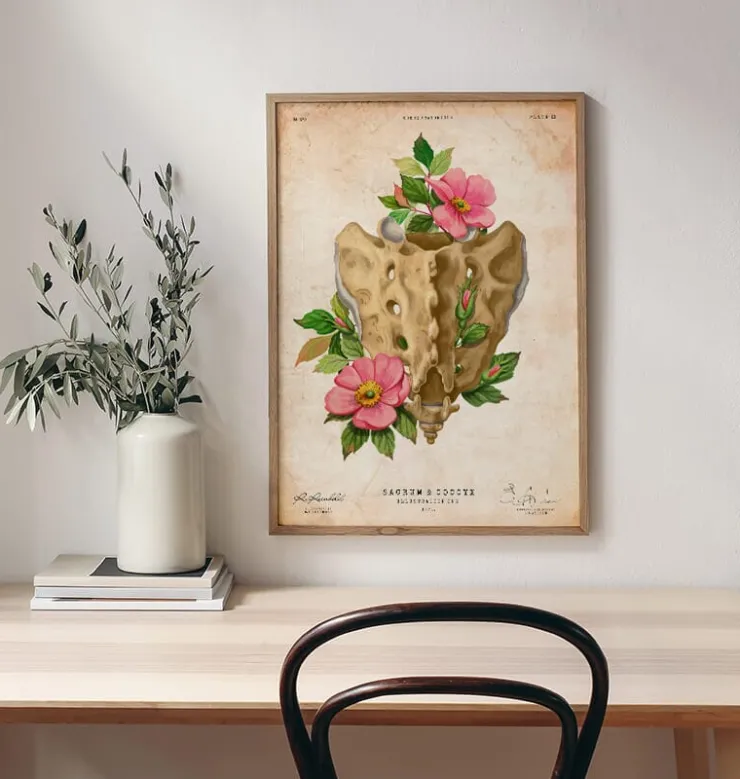 Sacrum et coccyx - Floral - Vintage-Codex Anatomicus Discount