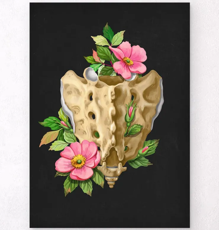 Sacrum et coccyx - Floral - Noir-Codex Anatomicus Clearance