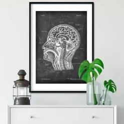 Section de la tête - Chalkboard-Codex Anatomicus Outlet