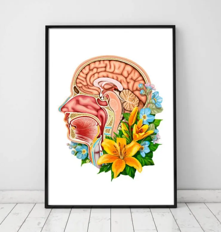 Section de tête - Floral - Blanc-Codex Anatomicus Clearance