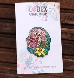 Section de tête et cerveau avec des fleurs - Pins-Codex Anatomicus Outlet