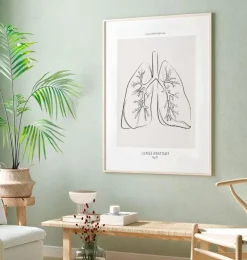 Section des poumons - Line Art-Codex Anatomicus Sale