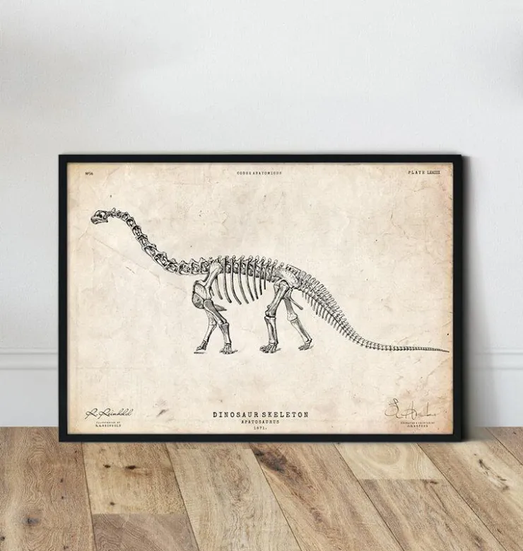 Squelette de dinosaure - Apatosaurus-Codex Anatomicus Sale