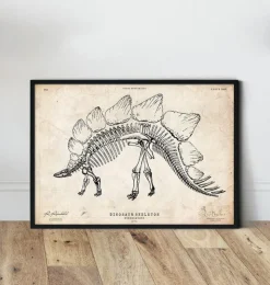 Squelette de dinosaure - Stegosaurus-Codex Anatomicus Best