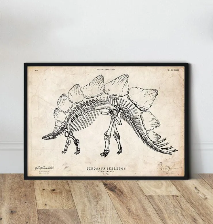 Squelette de dinosaure - Stegosaurus-Codex Anatomicus Best