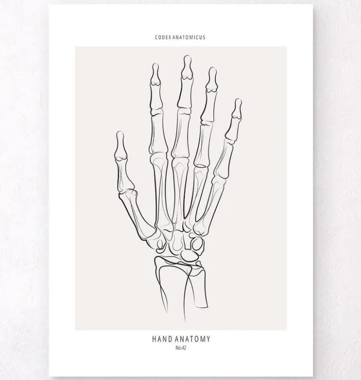 Squelette de la main - Line Art-Codex Anatomicus Discount