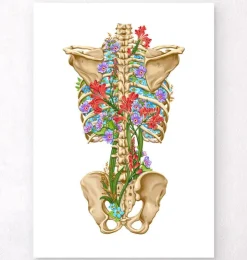 Squelette du dos - Floral - Noir-Codex Anatomicus Discount