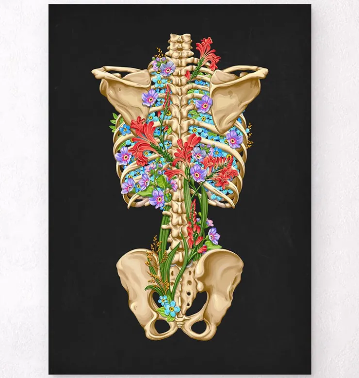 Squelette du dos - Floral - Blanc-Codex Anatomicus Best