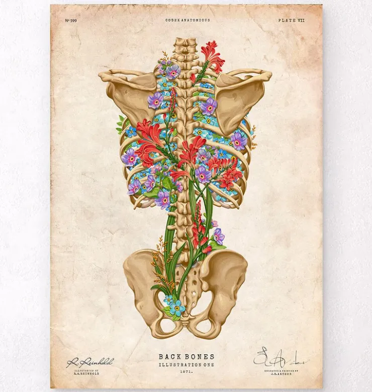 Squelette du dos - Floral - Vintage-Codex Anatomicus Best