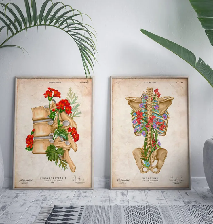 Squelette du dos - Floral - Vintage-Codex Anatomicus Best