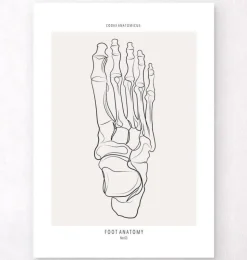 Squelette du pied - Line Art-Codex Anatomicus Hot