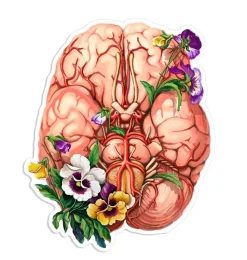 Sticker anatomie cérébrale - Floral-Codex Anatomicus New