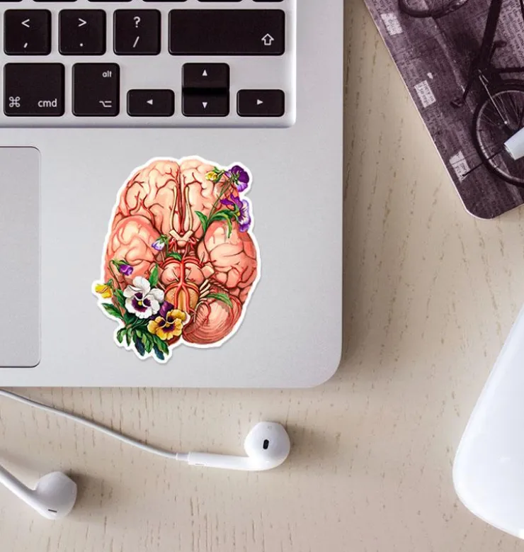 Sticker anatomie cérébrale - Floral-Codex Anatomicus New